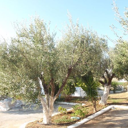 Amaryllis Front Beach Hotel Lardos Dış mekan fotoğraf