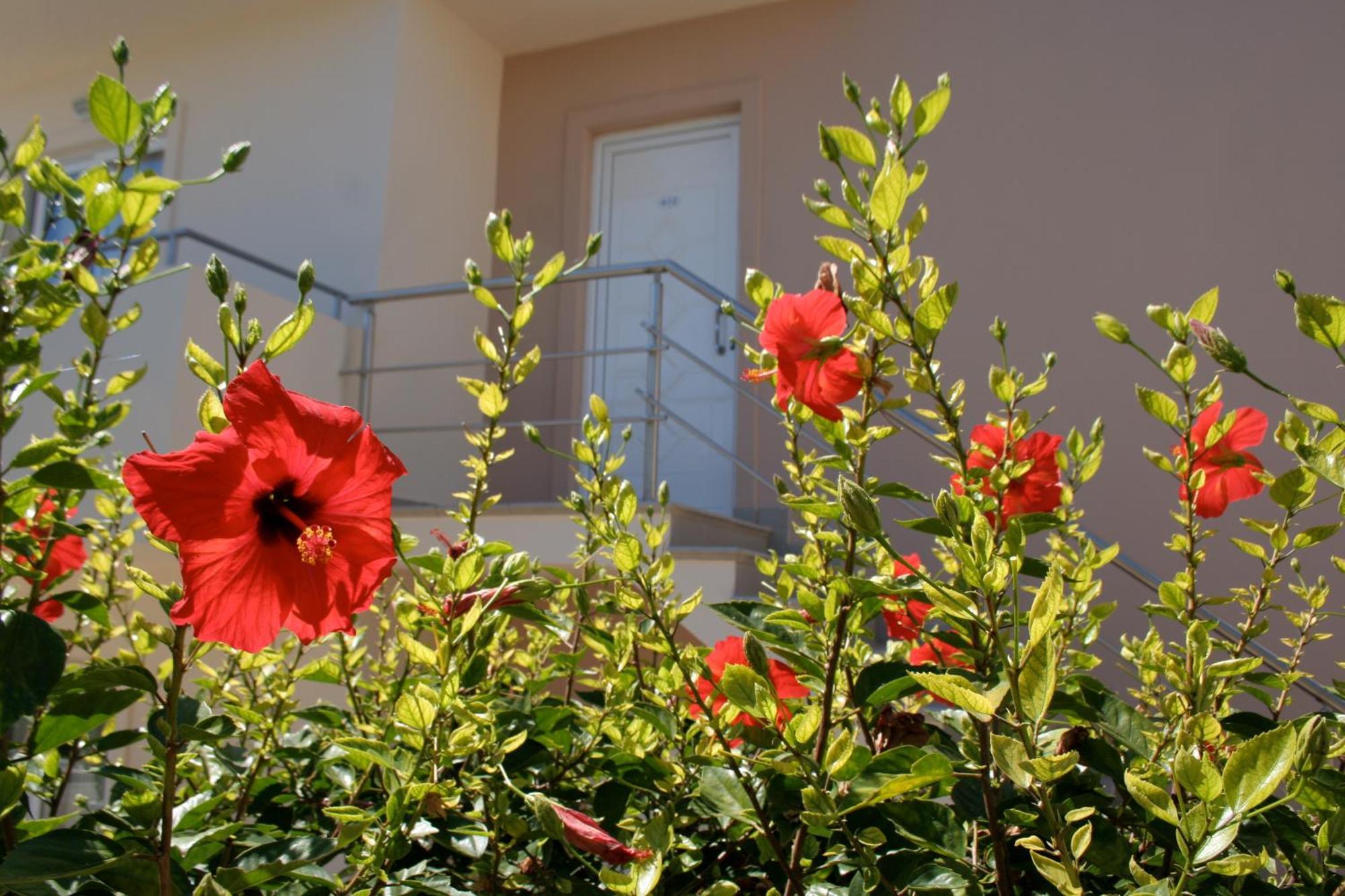 Amaryllis Front Beach Hotel Lardos Dış mekan fotoğraf